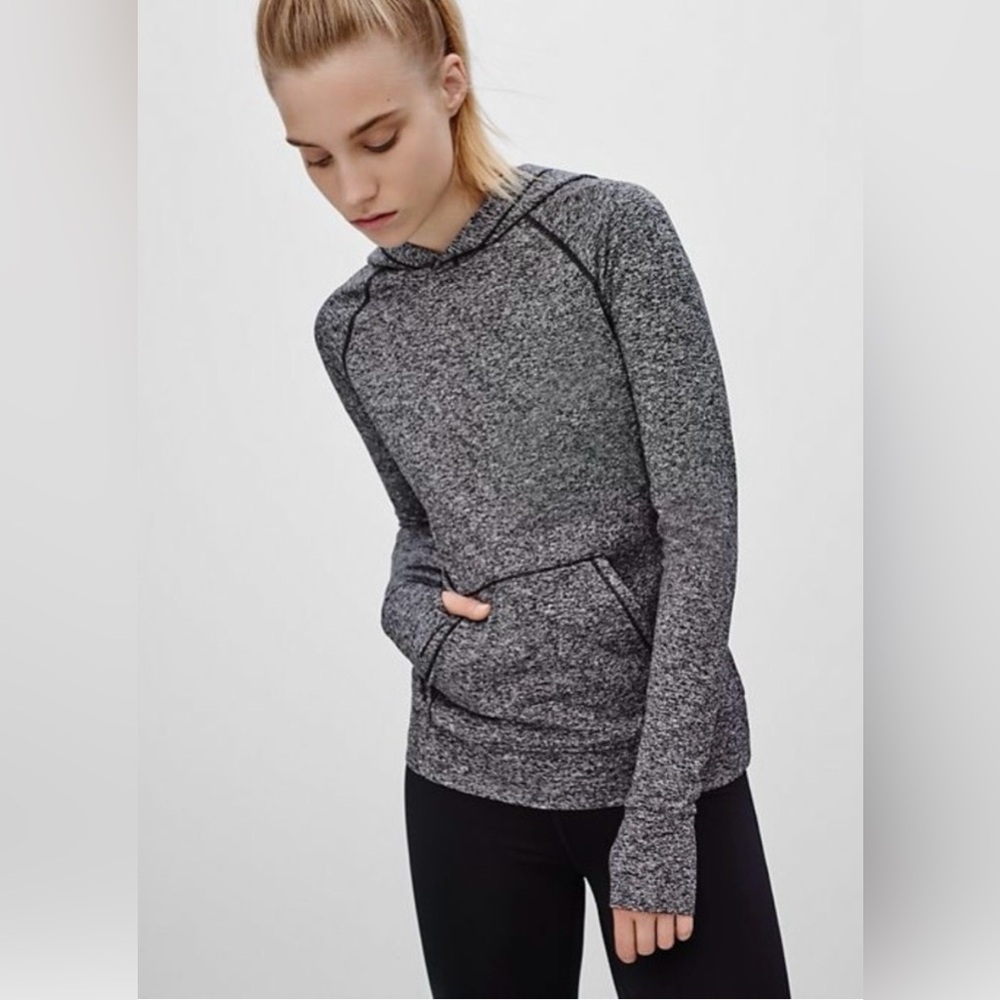Aritzia Parklife Pursuit Hoodie